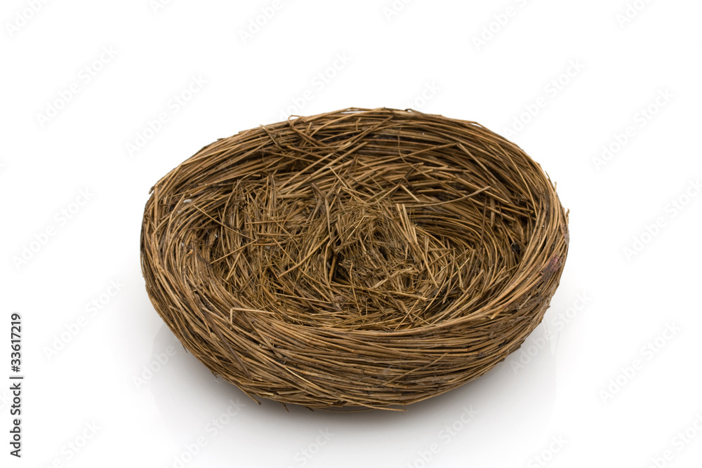 Empty nest Empty nest