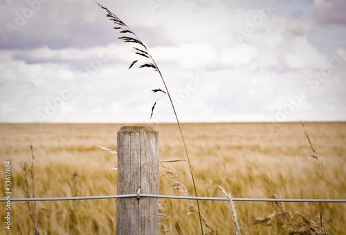 Fence post