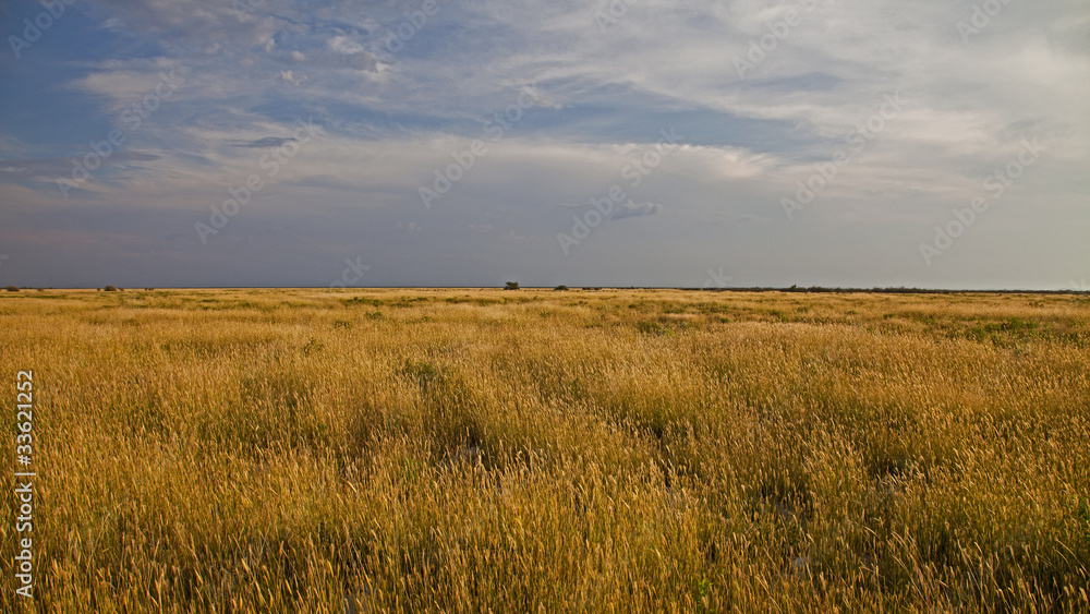 Etosha Nationalpark