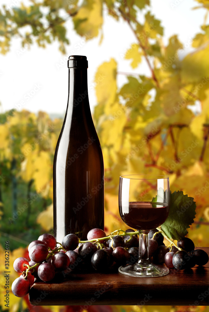 bottiglia di vino rosso con uva