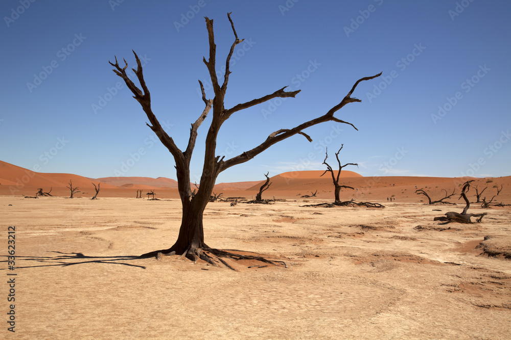 Dead Vlei Dead Vlei