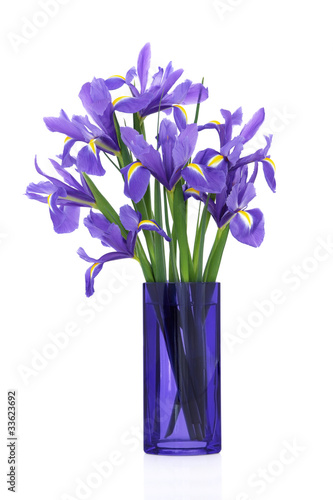 Fototapeta Naklejka Na Ścianę i Meble -  Iris Flower Beauty