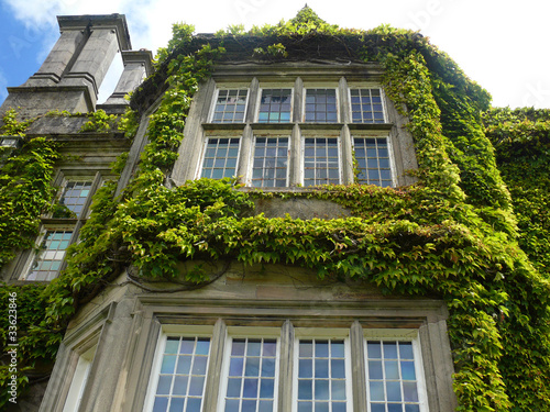 Muckross House photo