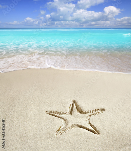 caribbean beach starfish print  white sand summer