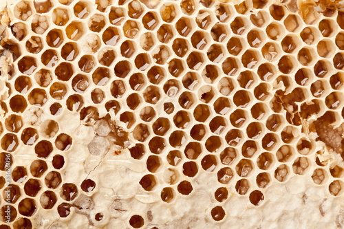 Honeycombs.