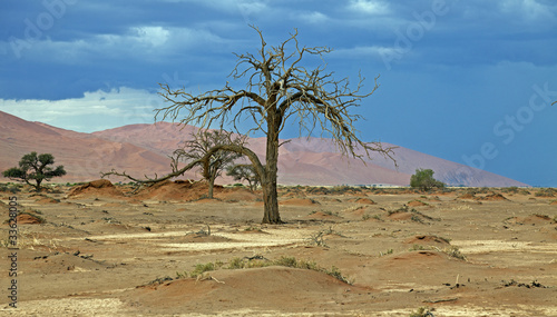 Namib-Naukluft-Nationalpark