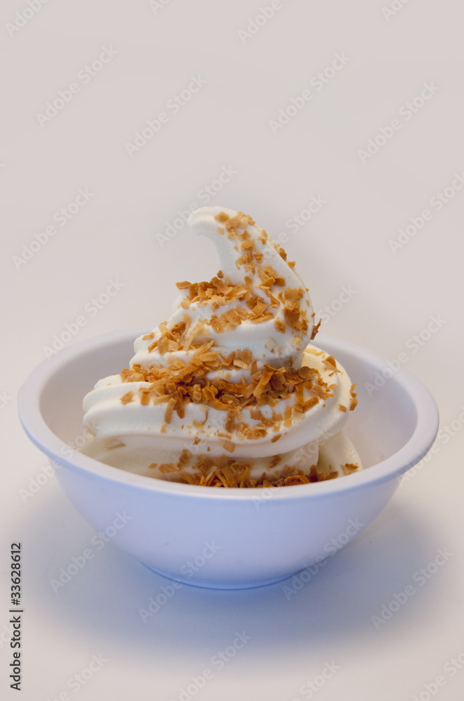 Vanilla Frozen Yogurt with Toasted Coconut Topping Vanilla Frozen Yogurt with Toasted Coconut Topping