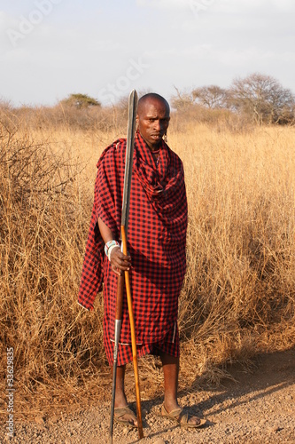 Massai-Krieger in der Savanne photo