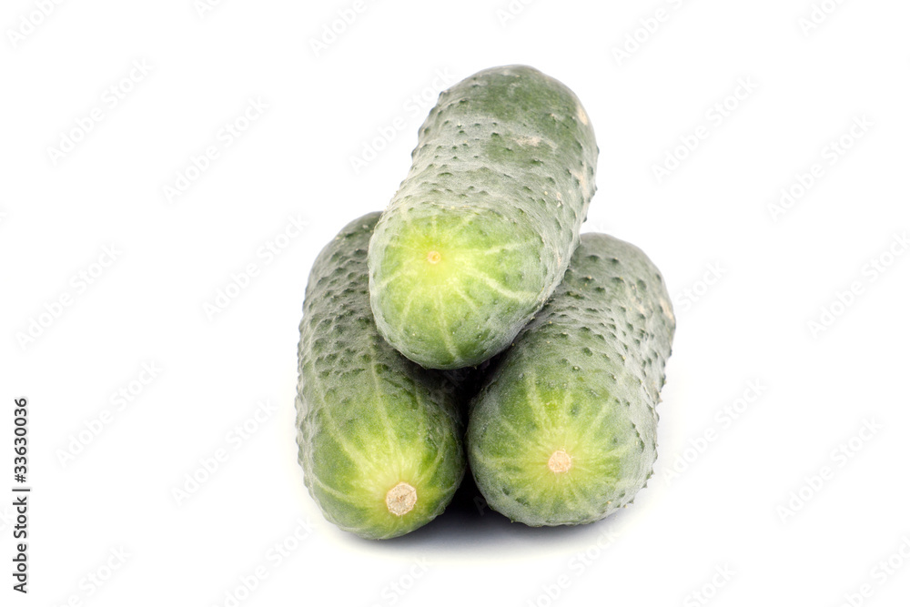 Fototapeta premium Cucumber