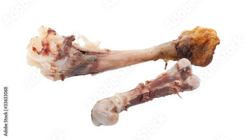 Chicken bones