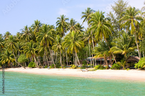 Coconut palm tree on the beach near blue sea water
