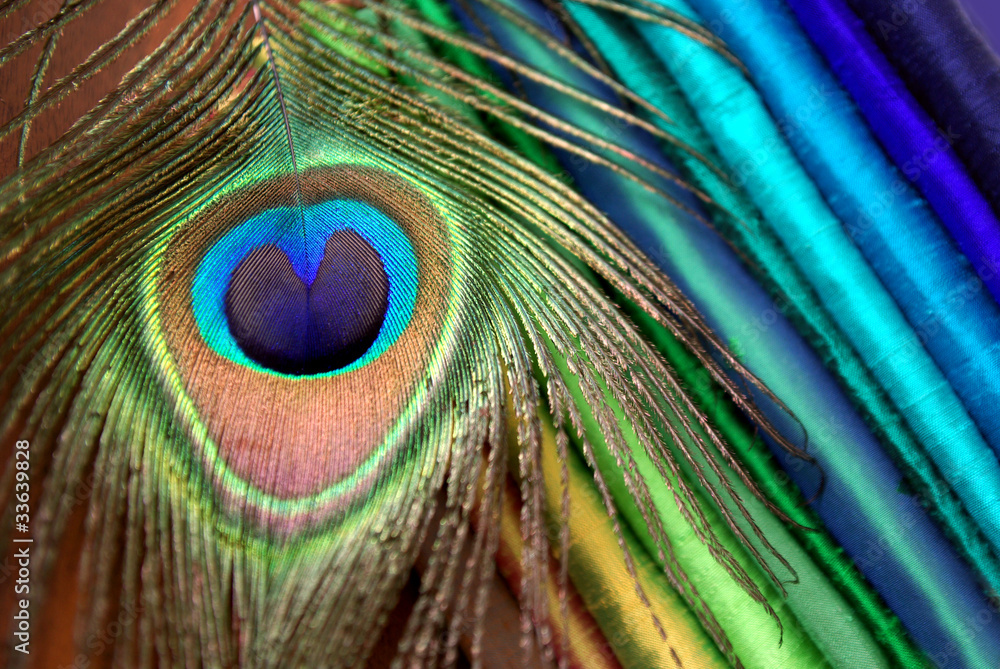 Obraz premium Kolory z natury