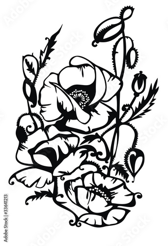 Black poppy