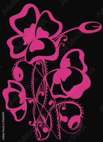 Pink poppy