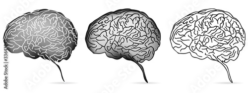 set of head profile with brain isolated on white