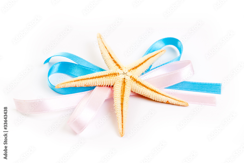 Starfish with ribbon isolated on white Starfish with ribbon isolated on white
