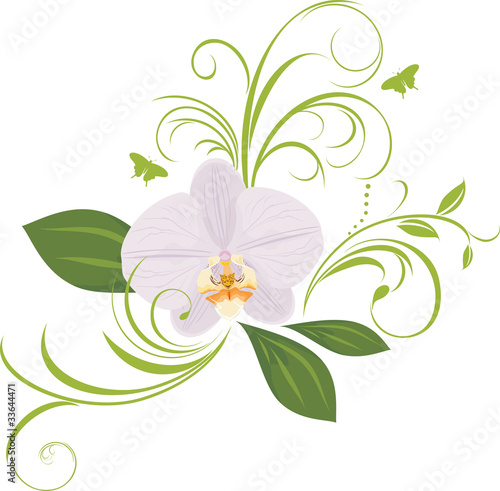 Fototapeta Naklejka Na Ścianę i Meble -  Orchid with decorative sprigs