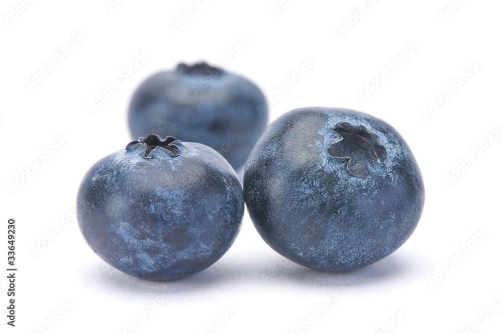 Blueberry berry closeup Blueberry berry closeup