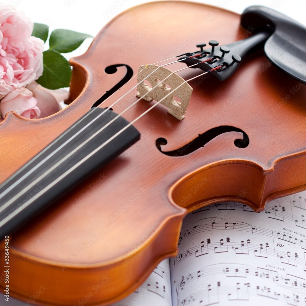 Obraz premium Violin mit Rose