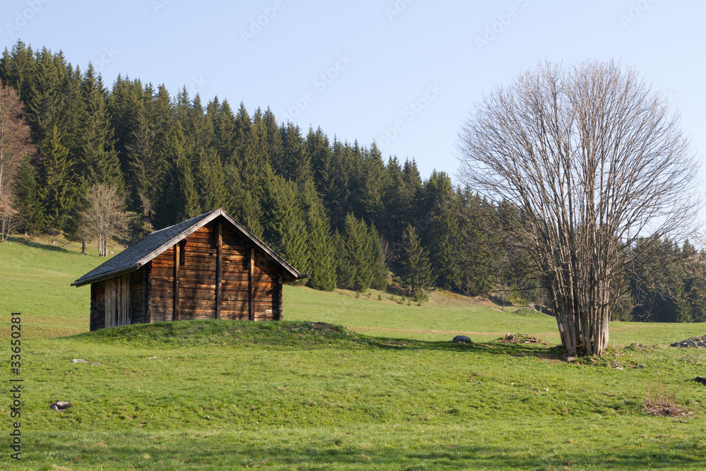 Mazot dans les alpages des Confins Mazot dans les alpages des Confins