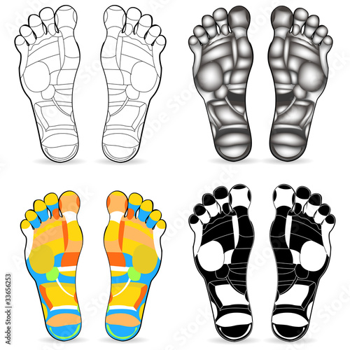 Thai foot massage chart isolated on white background