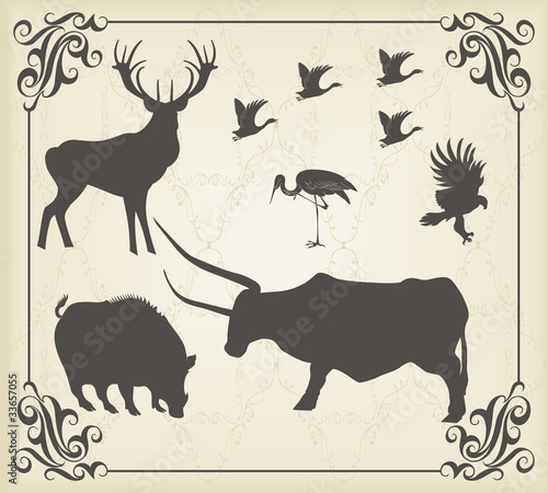 Vintage set of animals into frame