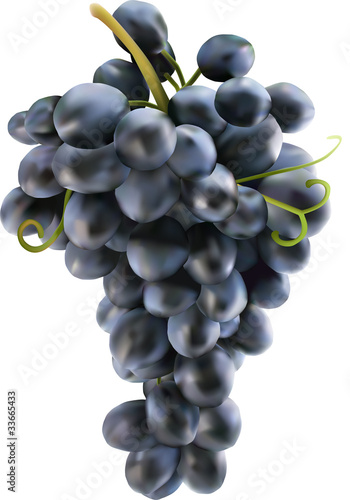 dark grapes