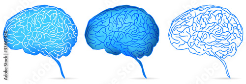 set of head profile with brain isolated on white