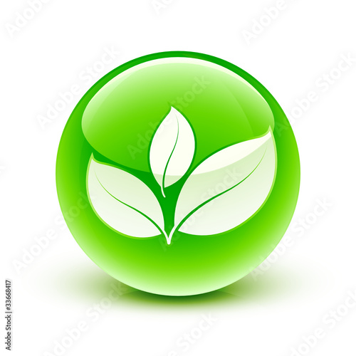 icône plante nature / leaves icon