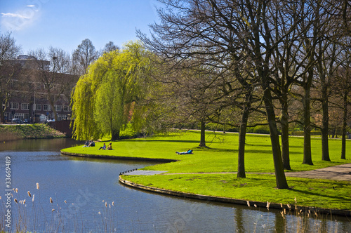 Beautiful green lawn on the canal bank in Amsterdam. photo