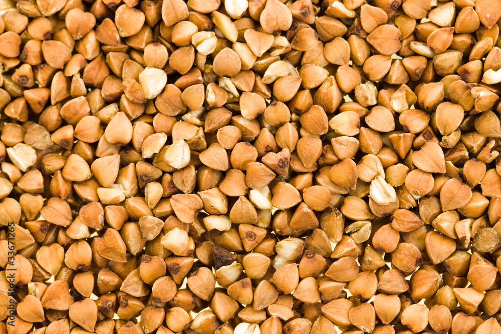 Piled grains of the dried up buckwheat Piled grains of the dried up buckwheat