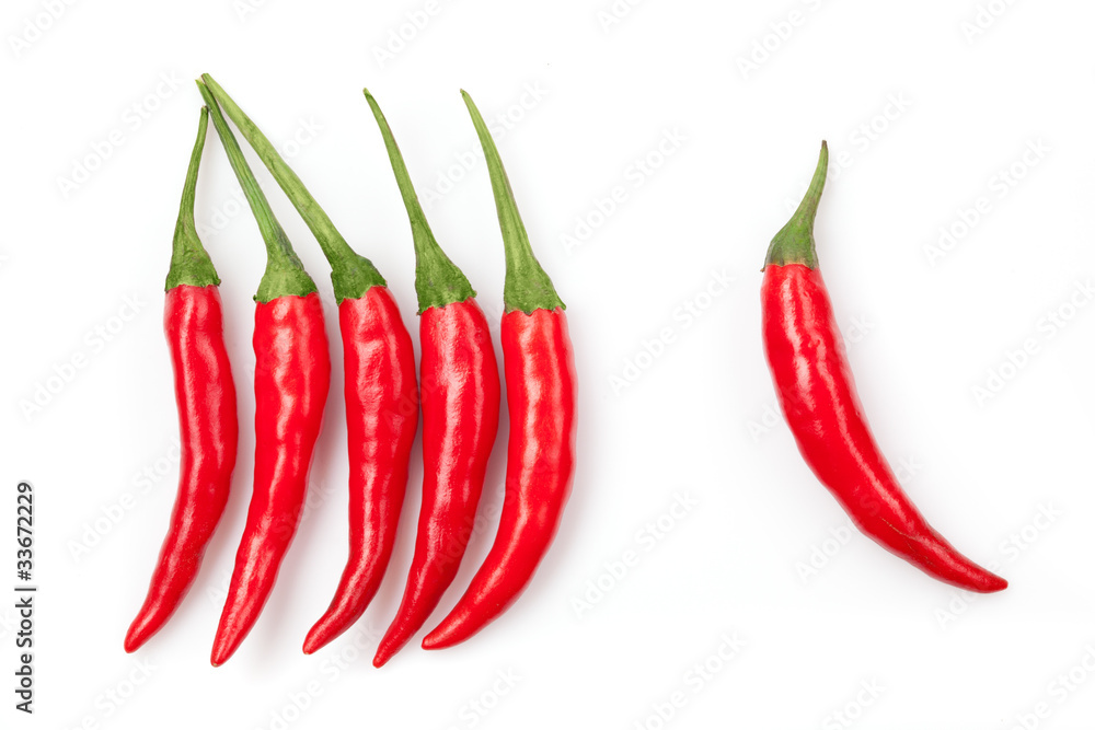 chili pepper isolated on white chili pepper isolated on white