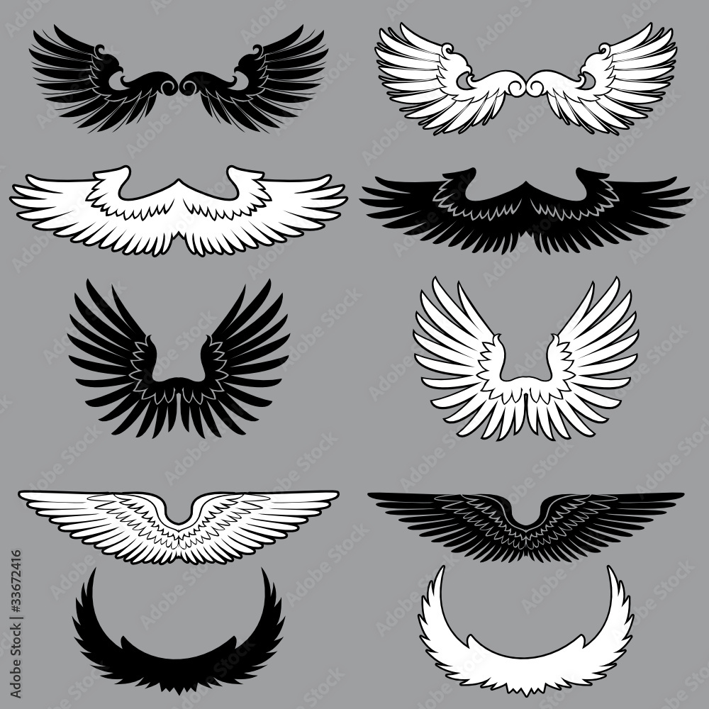 Fototapeta premium Set of heraldry wings