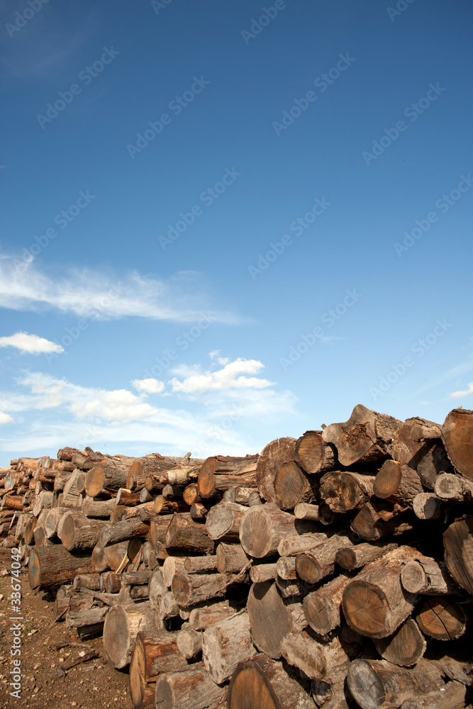 Obraz premium Brennholz