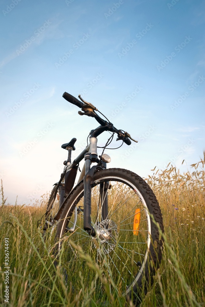 Fototapeta premium bike