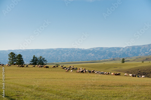 Obraz w ramie 草原风光