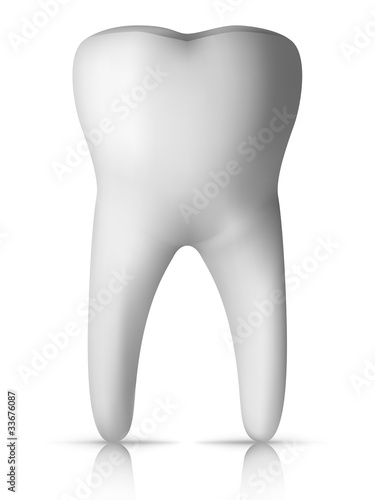 Molar Tooth