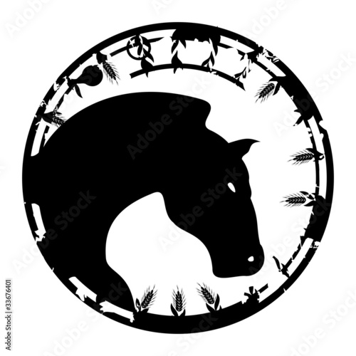 Stamp a horse