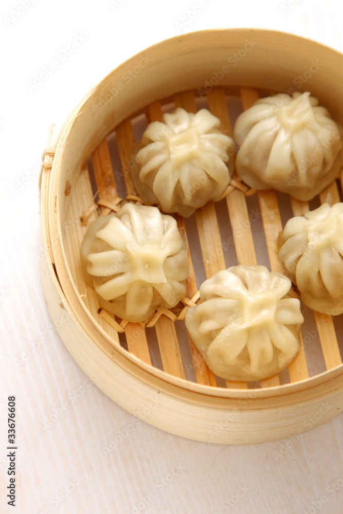 steamed meat dumpling of dim sum steamed meat dumpling of dim sum