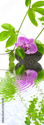 Fototapeta Naklejka Na Ścianę i Meble -  composition, orchidée, galet, liane fruit de la passion