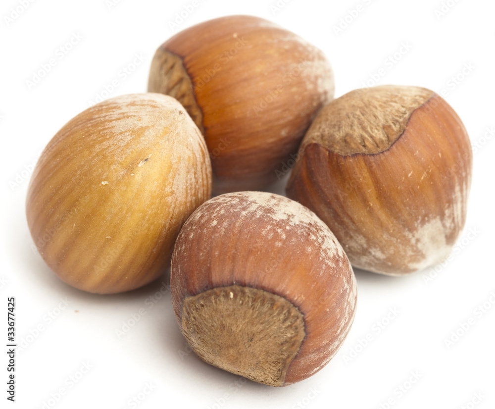 hazelnut isolated