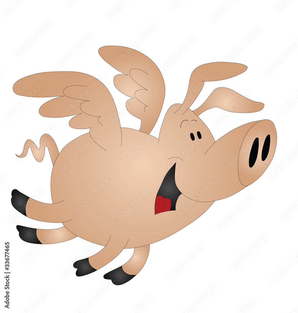 and pigs might fly isolated on white background and pigs might fly isolated on white background