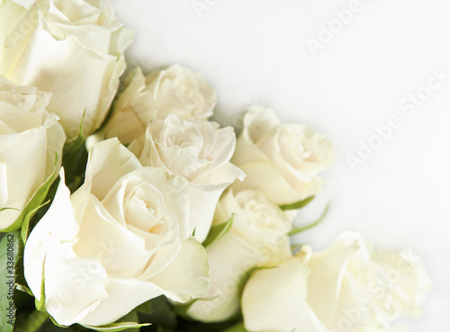 Bunch of white rose
