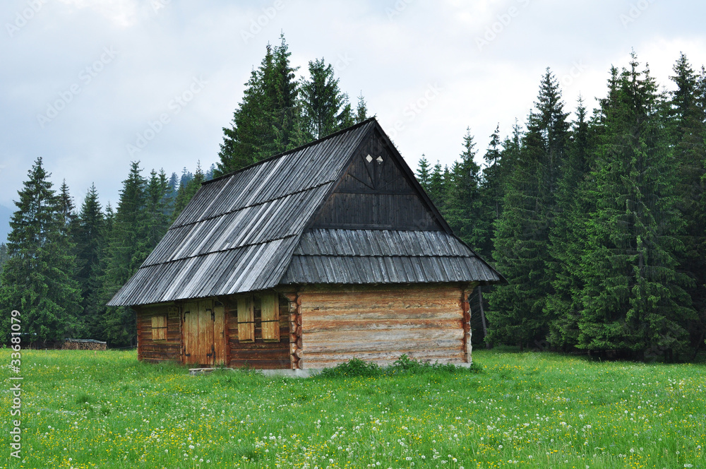 Wooden house - Tatra mountains