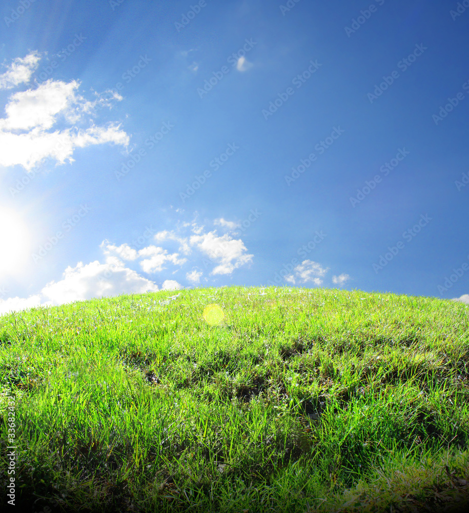 Obraz premium Green grassland