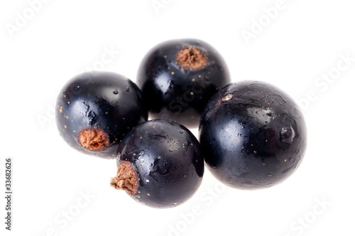 Four black currants isolated on white