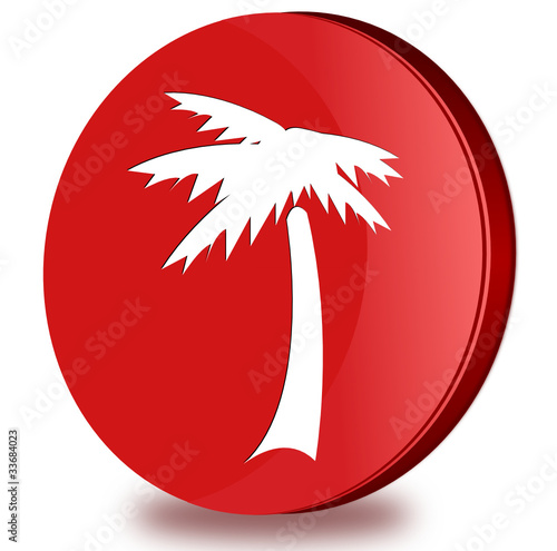 Palm glossy icon