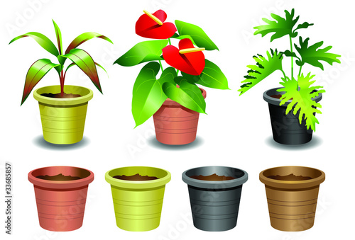 Indoor office plants - 1