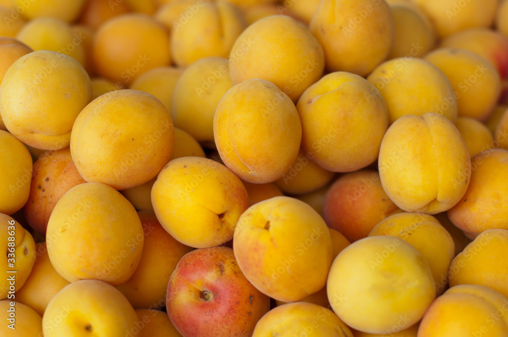 Apricots at the farmer market
