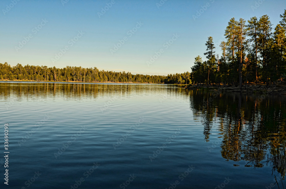 Fototapeta premium Forest Lake